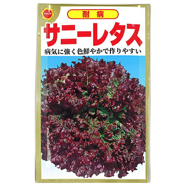 楽天市場 アタリヤ農園 野菜種 一代交配 サニーレタス M ワイズライフ 楽天市場 アタリヤ農園 野菜種 一代交配 サニーレタス M ワイズライフ
