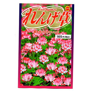 れんげの種 花の種 種子 レンゲ草 レンゲの種 花の種 1ｋｇ 景観用緑肥 T ファームトップ 通販 Spring Online Shopレンゲ種子 10kg Zahnarzt Franz De