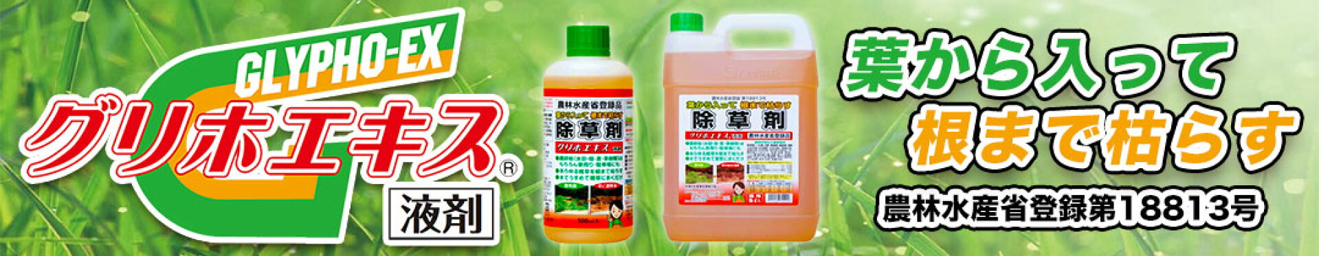 グリホエキス 液剤