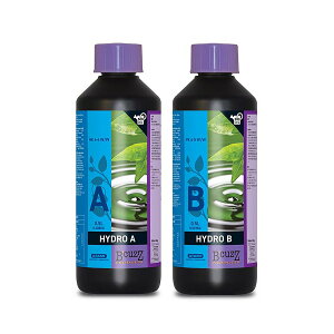 엿 B'CUZZ HYDRO (r[JY nCh) At Bt e500ml ATAMI 엿  엿 k͔| 엿 Ɩp 엿 k͔|p엿 ؔ엿  t  t̔엿