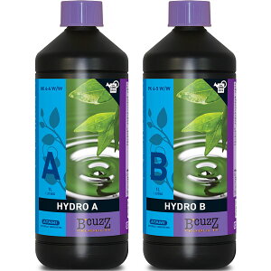 엿 B'CUZZ HYDRO (r[JY nCh) At Bt e1L ATAMI 엿  엿 k͔| 엿 Ɩp 엿 k͔|p엿 ؔ엿  t  t̔엿