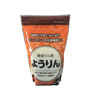 엿 悤 800g 勦 엿 o 엿  엿 K[fjO 엿 | 엿 ƒ؉ 엿 _ 엿 _엿 Ɍ엿 M1