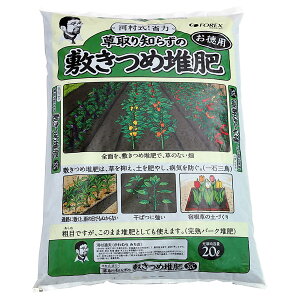 kCY o[N͔ m炸̕~ߑ͔ 20L ͑ʕv̂炭炭|V[Y FOREX ͔ o[N͔ n ӂ͔ n͔ yǍ