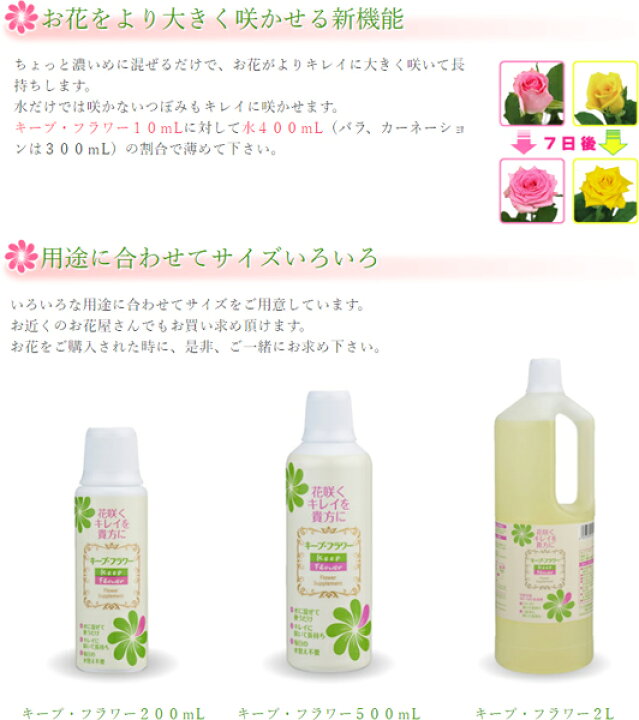 楽天市場】キープフラワー 10ml ×1200袋 フジ日本 切花延命剤 バラ苗  