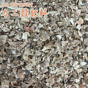 엿 Jjk엿 10kg×2 엿 o 엿 Jjk 엿 20kg Ɩp 엿 A 엿 L@엿 o L@엿 o엿 o̔엿 Ik 엿