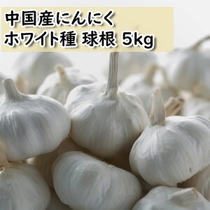 Yɂɂ zCg 5kg TCY ݋ jjN͔| Y p ɂɂ zCg 