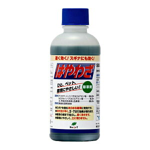  ͂킴 500ml n[g   Ɩp  ͂킴  OzT[g  t  ͂킴 Gh OzT[gt