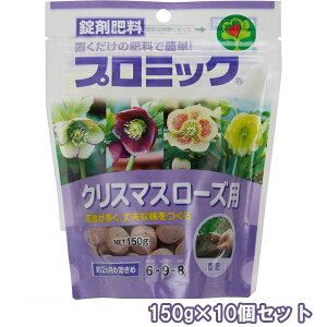 엿 v~bNܔ엿 NX}X[Yp 150g×10 nC|lbNX 엿  엿  엿 NX}X[Y 엿 u NX}X[Y u ܔ엿