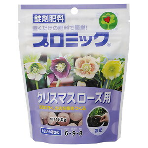 엿 v~bNܔ엿 NX}X[Yp 150g nC|lbNX 엿  엿  엿 NX}X[Y 엿 u NX}X[Y u ܔ엿