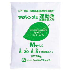 엿 }O@v II  ʗvf MTCY 20kg nC|lbNX 엿  엿 Ő 엿  엿 20kg 엿 Ɩp 엿 Ő̔엿 엿 ؔ엿