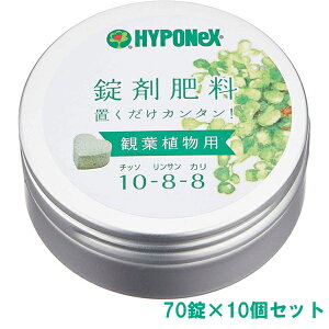 엿 ܔ엿 ϗtAp 70×10 nC|lbNX 엿 ϗtA 엿 ϗtA p엿 ϗtA ܔ엿 ϗtA u ϗtA u