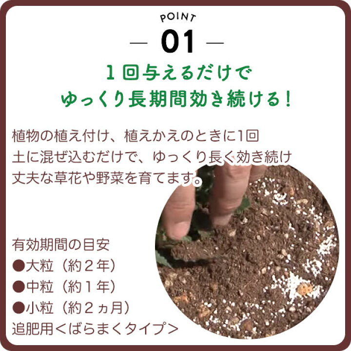 新しいスタイル 肥料 ハイポネックス マグアンプk 中粒 kg大袋 ガーデニング 園芸 マグァンプ 生産 業務用 Fucoa Cl 新しいスタイル 肥料 ハイポネックス マグアンプk 中粒 kg大袋 ガーデニング 園芸 マグァンプ 生産 業務用 Fucoa Cl