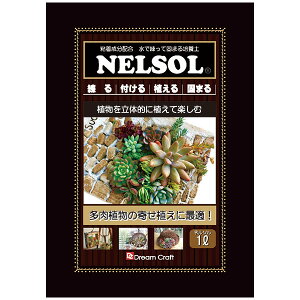 l\ NELSOL 1L DreamCraft Å񂹐AɍœK A𗧑̓IɐAĊy |{y