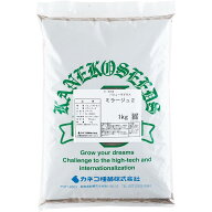 バミューダグラス ミラージュ2 1kg カネコ種苗 種 芝 種 芝生 種 西洋芝 種 種子 芝 種子 芝生 種子 西洋…