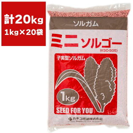 ソルガム ミニソルゴー 20kg (1kg×20袋) カネコ種苗 緑肥 種 緑肥 種子 ソルゴー 種 ソルゴー 種子 緑肥 業務用 種子 緑肥 業務用 種 ソルゴーの種