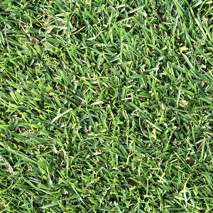 Ŏ Z`s[hOX 1kg R[gq Ŏ    q Ő  Ő q ł̎ Ő̎ Jf  Jf q c l  c l q