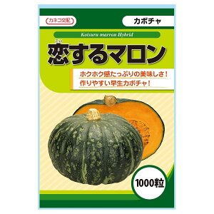 e c J{` } 1000 JlRz JlRc ؎q J{`q ؎ J{` q    q ؂̎ J{` 