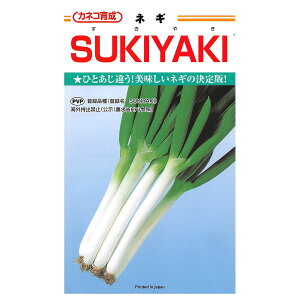 e c SUKIYAKI(₫) lM 5000 JlR琬 JlRc ؎q lMq K q K     q  lM   lM q