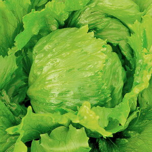 e c V(B) ^X ybg5000 JlRc ^X  ^X q    ybgq ^X̎ ^X̎q ؂̎ ؂̎q