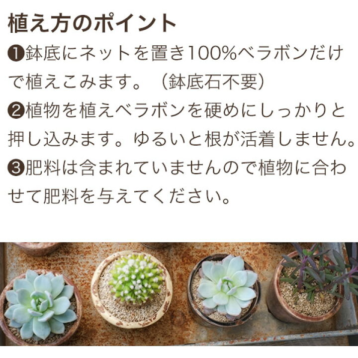 楽天市場】ベラボン・プレミアム 5L フジック 培養土のかわりにベラボンに植えるだけ ガーデン用品 : ワイズライフ 楽天市場】ベラボン・プレミアム 5L フジック 培養土のかわりにベラボンに植えるだけ ガーデン用品 : ワイズライフ