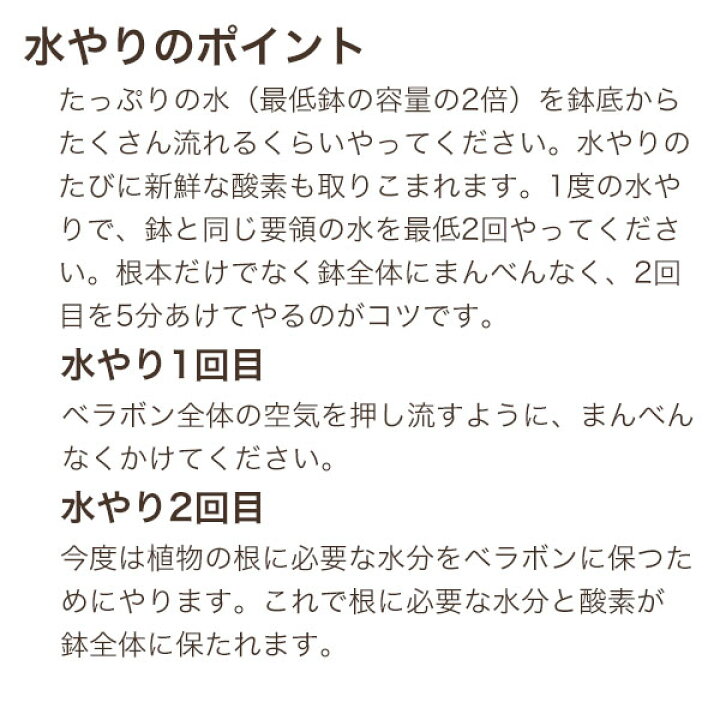 楽天市場】ベラボン・プレミアム 5L フジック 培養土のかわりにベラボンに植えるだけ ガーデン用品 : ワイズライフ 楽天市場】ベラボン・プレミアム 5L フジック 培養土のかわりにベラボンに植えるだけ ガーデン用品 : ワイズライフ