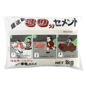 Zg 30Zg zCg 1kg ×10 ƒ뉻w Zg C ^ K  ubN ԒdubN  x_ 肷 
