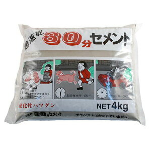 Zg 30Zg O[ 4kg ƒ뉻w Zg C ^ K  ubN ԒdubN  x_ 肷 