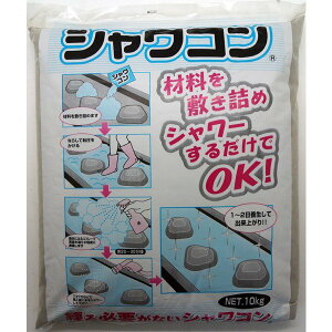 RN[gC VR O[ 10kg ×2 ƒ뉻w RN[g C RN[gC  b n yǍ V[邾OK