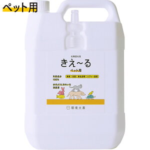 ` HV[Y ybgp l 4L P VR100% ̂悤ɂꂢȏLt  R F [ L 