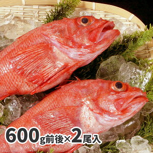  2 TCY (600g ×2) LL  O Ⓚ S