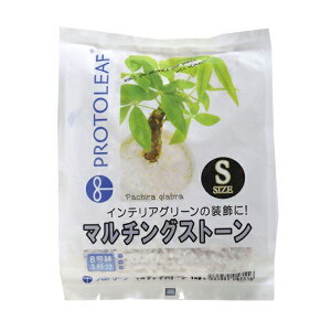 }`OXg[ zCg S 1kg vg[t }`O CeAO[ ϗtA   }`O ϐ ϗtA ϐ