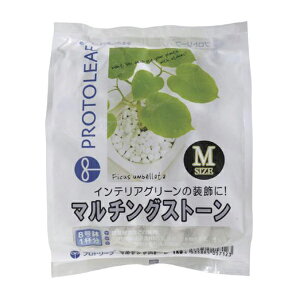 }`OXg[ zCg M 1kg vg[t }`O CeAO[ ϗtA   }`O ϐ ϗtA ϐ