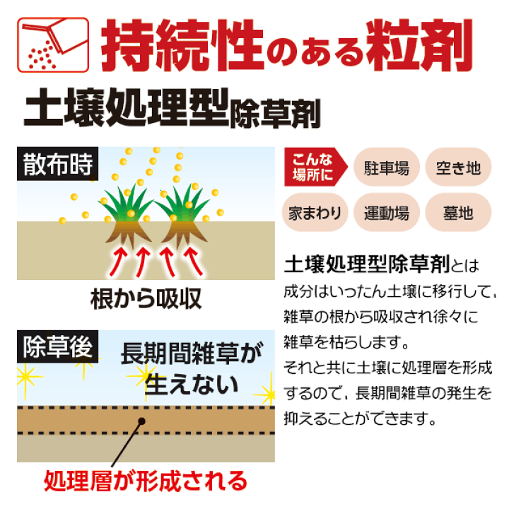 楽天市場】まとめ買い 6箱入 ネコソギトップW粒剤 3kg レインボー薬品