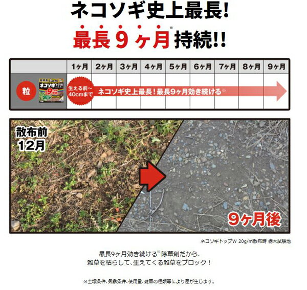 楽天市場 レインボー薬品 除草剤 ネコソギ トップw粒剤 3kg A ワイズライフ