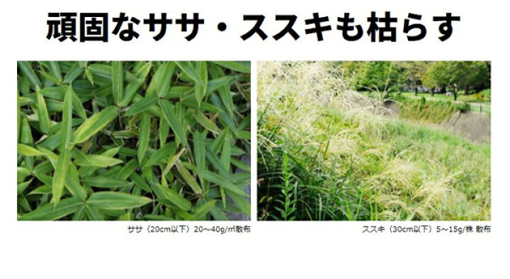 楽天市場】ネコソギトップW粒剤 3kg レインボー薬品 ササ・ススキにも 除草剤 : ワイズライフ