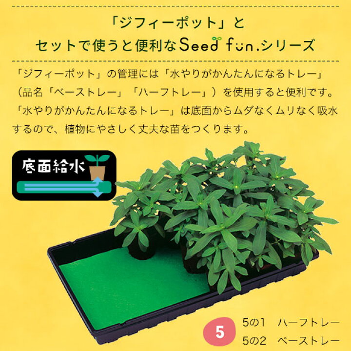 楽天市場】そのまま植えられるエコポット ジフィーポット 丸型8cm 30個 サカタのタネエコーポット環境に優しいポット