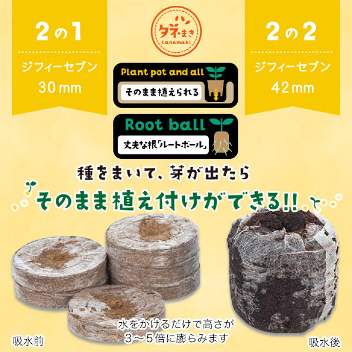 楽天市場】そのまま植えられる土ポット ジフィーセブン 直径30mm 48個 