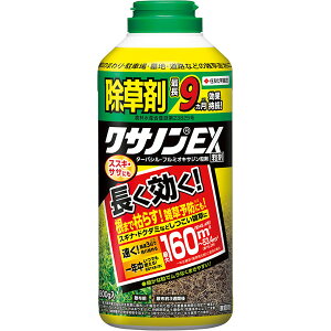  NTmEX 800g KINCHO|        NTm  Gh G΍ G h