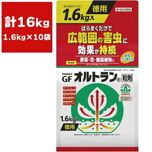 Ig GFIg  1.6kg×10 KINCHO| E _ Ig E  E  E AuV E AIV E Q쏜