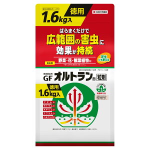 Ig GFIg  1.6kg KINCHO| E _ Ig E  E  E AuV E AIV E Q쏜