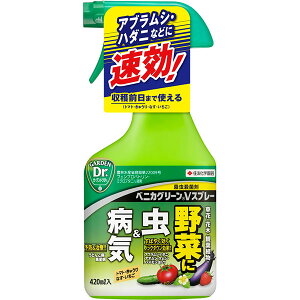 EEۍ xjJO[V Xv[ 420ml KINCHO| E _ E Eۍ _ Eۍ ǂ񂱕a  E AuV E