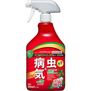 EEۍ xjJXt@CXv[ 1000ml KINCHO| xjJX E _ E xjJX Eۍ xjJX Eۍ _ Eۍ xjJ aQ \h