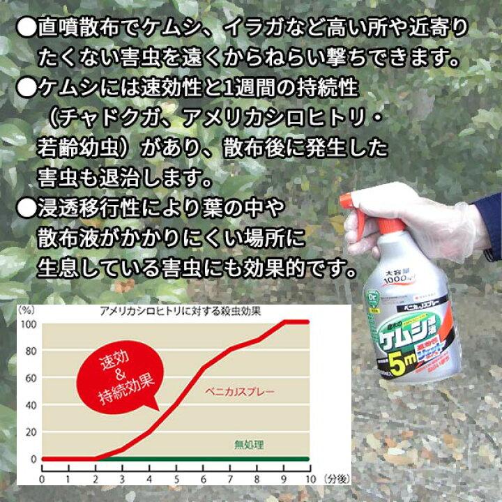 楽天市場 ベニカjスプレー 1000ml 住友化学園芸 庭木のケムシ退治 速効性ジェットタイプ 殺虫剤 ワイズライフ 楽天市場 ベニカjスプレー 1000ml 住友化学園芸 庭木のケムシ退治 速効性ジェットタイプ 殺虫剤 ワイズライフ
