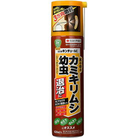 園芸用キンチョールE 420ml 住友化学園芸 木の中のカミキリムシ幼虫退治に テッポウムシ 殺虫剤