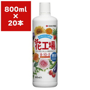 �엿 �ԍH�� ���t 800ml×20�{ KINCHO���| �엿 ��� �엿 �� �엿 ��ؔ엿 �t�� ��� �t�� �� �t�� �t�̔엿 ��� �t�̔엿 �� �t�̔엿 ��؂̔엿