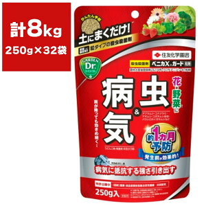 xjJXK[h 250g×32 KINCHO| E xjJ E  E Eۍ xjJ Eۍ  Eۍ EEۍ