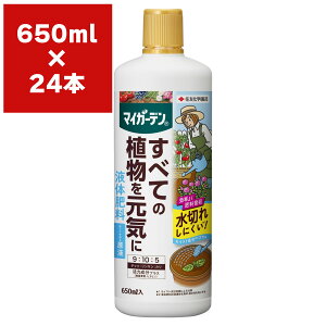 엿 }CK[ft̔엿 650ml×24{ KINCHO| 엿  엿 ʎ 엿 n[u 엿 ؔ엿 t  t n[u t ʎ t t̔엿