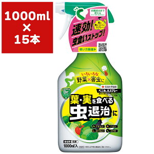 E xjJAXv[ 1000ml×15{ KINCHO| E _ E xjJ E  E nV E AIV E Q ΍ Q h