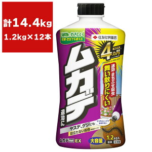 E JfEX 1.2kg×12{ KINCHO| E Jf E Jf 쏜 Jf ΍ Jf ގ Jf 쏜 Jf΍ Jf쏜 QE