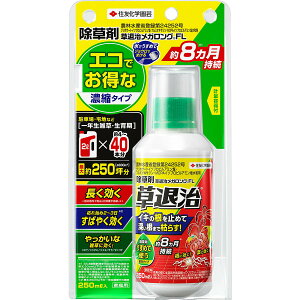  ގKO FL 250ml KINCHO|    OzT[g  t  t  ގ  G΍ Gh